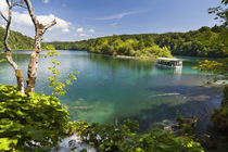 Plitvice Lakes, Croatia by Danita Delimont