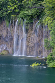 Croatia, Plitvice Lakes National Park, Waterfall von Danita Delimont