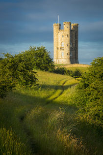 Early morning at Broadway Tower, the Cotswolds, Worcestershi... by Danita Delimont