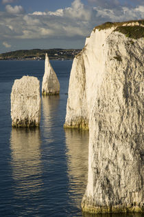 Dawn at the white cliffs and Harry Rocks at Studland, Isle o... by Danita Delimont