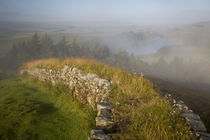Dawn at Hadrian's Wall near the Roman fort at Housesteads, N... by Danita Delimont