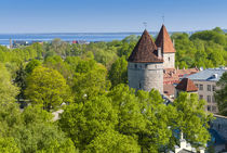 View of Tallinn from Toompea hill, Old Town of Tallinn, UNES... by Danita Delimont