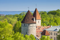 View of Tallinn from Toompea hill, Old Town of Tallinn, UNES... von Danita Delimont