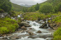 Europe, Scotland, Cairngorm National Park by Danita Delimont