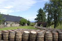 Barrels waiting to be filled at Glenmorangie Distillery, Tai... von Danita Delimont