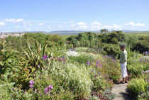 Kierfiold House Gardens, Sandwick, Orkney Islands by Danita Delimont