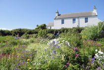 Kierfiold House Gardens, Sandwick, Orkney Islands von Danita Delimont