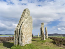 Ring of Brodgar, Orkney, Scotland by Danita Delimont