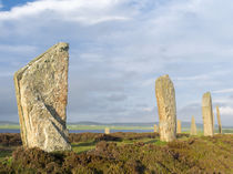 Ring of Brodgar, Orkney, Scotland by Danita Delimont