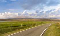 Ronas Hill, Northmavine, Shetland, Scotland von Danita Delimont
