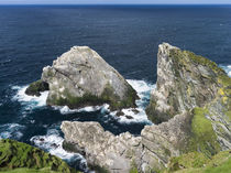 Island of Unst, Hermaness, Shetland Inseln, UK von Danita Delimont