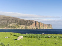 The island of Hoy, Orkney Islands, Scotland, UK von Danita Delimont