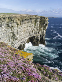 Noup Head on Westray, Orkney Islands, Scotland by Danita Delimont