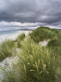 Isle of Berneray, North Uist, Scotland by Danita Delimont
