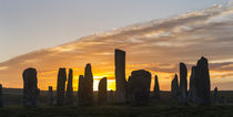 Standing Stones of Callanish, Schottland von Danita Delimont