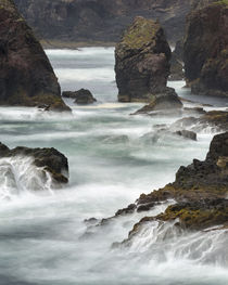 Landscape at Eshaness, Shetland, Scotland by Danita Delimont