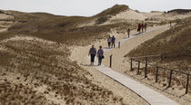 The Curonian Spit dunes In Klaipeda, Lithuania by Danita Delimont