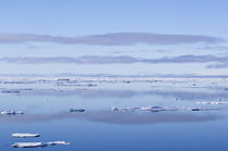 Ice flows, Greenland Sea, East Coast of Greenland von Danita Delimont