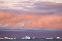 Icebergs at sunrise, Cape York, West Coast of Greenland by Danita Delimont
