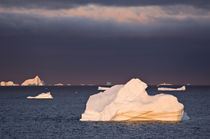 Icebergs at sunrise, Cape York, West Coast of Greenland by Danita Delimont
