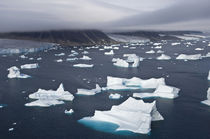 Icebergs, Cape York, Greenland von Danita Delimont