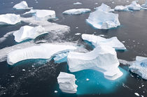 Icebergs, Cape York, Greenland by Danita Delimont