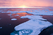 Sunset, Greenland Sea, East Coast of Greenland von Danita Delimont