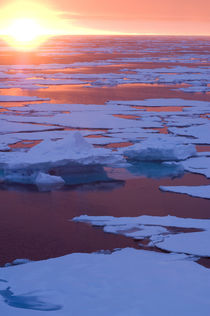 'Sunset, Greenland Sea, East Coast of Greenland' von Danita Delimont