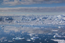Greenland, Disko Bay, Ilulissat, elevated view of floating ice von Danita Delimont