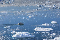 Greenland, Disko Bay, Ilulissat, elevated view of floating i... von Danita Delimont