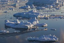 Greenland, Disko Bay, Ilulissat, elevated view of floating i... von Danita Delimont