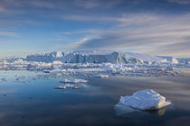 Greenland, Disko Bay, Ilulissat, floating ice at sunset von Danita Delimont