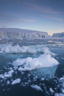 Greenland, Disko Bay, Ilulissat, floating ice at sunset with moonrise by Danita Delimont