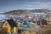 Greenland, Qaqortoq, elevated town view von Danita Delimont
