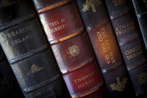 Collection of classic antique books from historic authors. von Danita Delimont