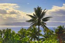 Sunset, Taveuni, Fiji von Danita Delimont