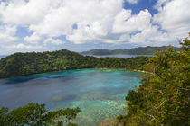 Matangi Private Island Resort, Fiji by Danita Delimont