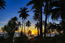 Sunset, Taveuni, Vanua Levu in Background, Fiji by Danita Delimont