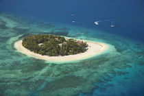 Beachcomber Island Resort, Mamanuca Islands, Fiji, South Pac... by Danita Delimont
