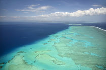 Malolo Barrier Reef off Malolo Island, Mamanuca Islands, Fij... by Danita Delimont
