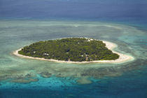 Tavarua Island and coral reef, Mamanuca Islands, Fiji, South... von Danita Delimont