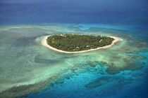 Tavarua Island and coral reef, Mamanuca Islands, Fiji, South... by Danita Delimont