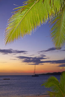 Palm trees and sunset, Plantation Island Resort, Malolo Lail... von Danita Delimont