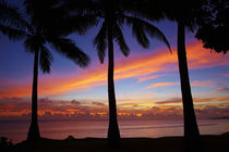 Sunset and palm trees, Coral Coast, Viti Levu, Fiji, South Pacific von Danita Delimont