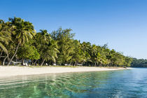 White sand beach, Nanuya Lailai island, the blue lagoon, Yas... by Danita Delimont