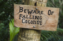 Danger sign, Fiji. by Danita Delimont