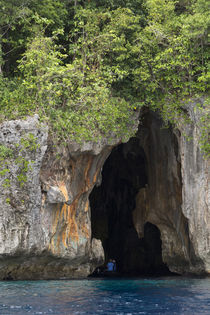 Kingdom of Tonga, Vava'u Islands, Swallow's Cave near Neiafu. von Danita Delimont