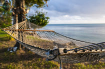 Hammock on a beach in Ha'apai Islands, Tonga, South Pacific by Danita Delimont