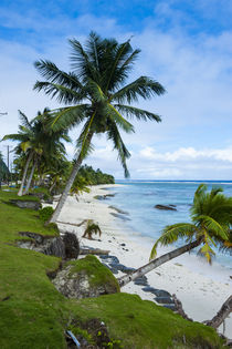 Ofu Island, Manu'a island group, American Samoa, South Pacific by Danita Delimont