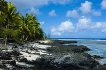 Rocky beach in Tau Island, Manuas, American Samoa, South Pacific by Danita Delimont